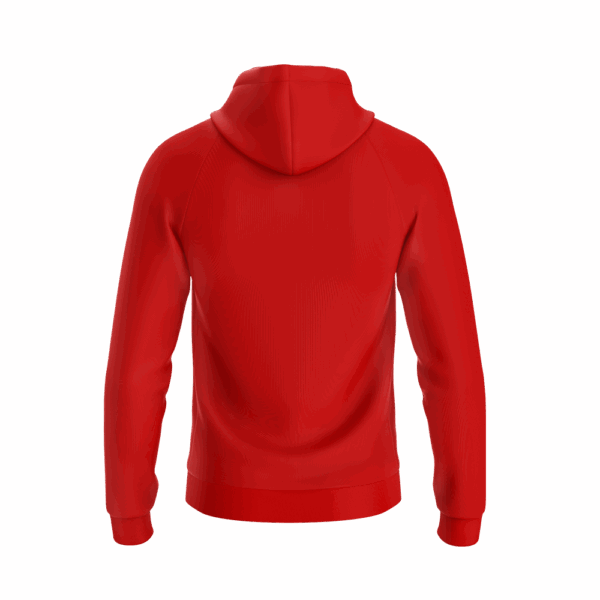 ALPHA Hoodie