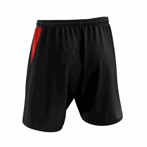 CONTROL Training Shorts