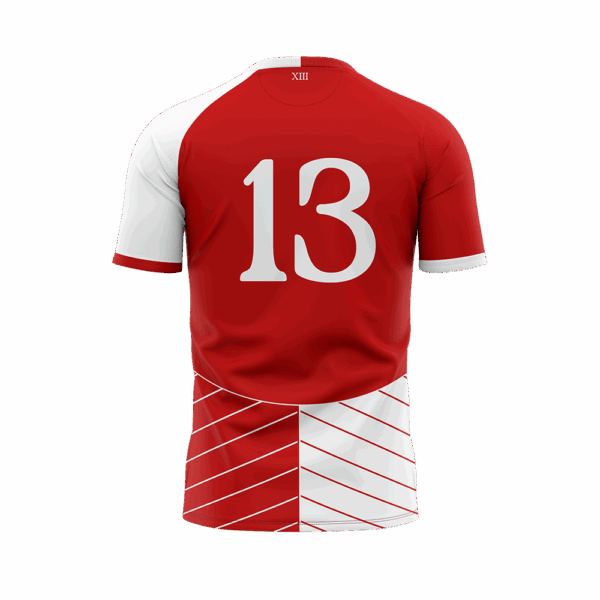 DANIK Match Shirt