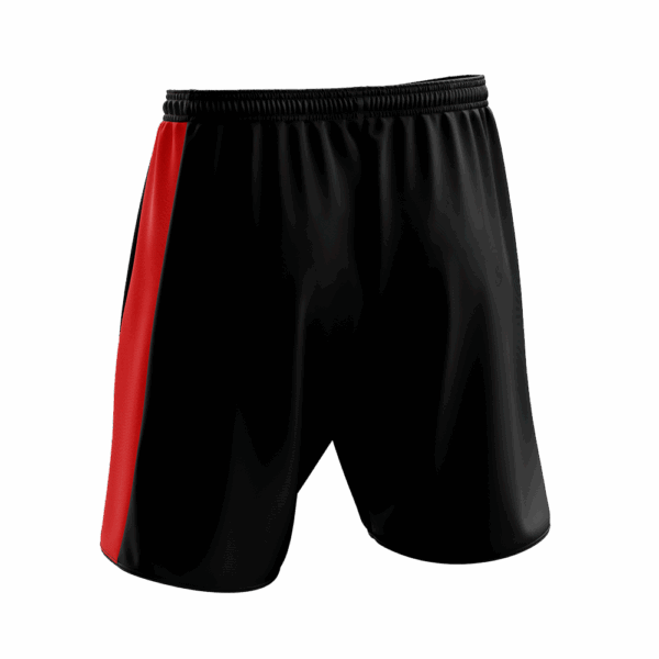 STRIDE Match Shorts
